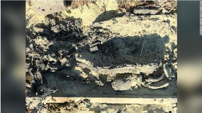 被烧的蜂箱&nbsp;&nbsp;图片来源：CNN