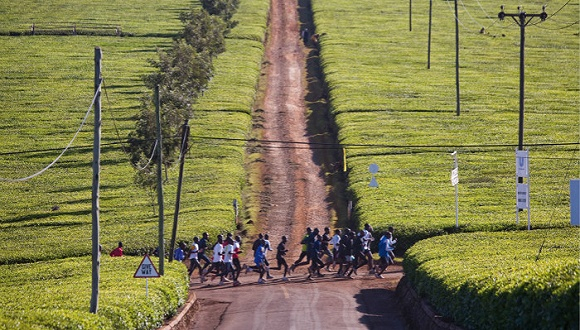 图片来源：倍耐力