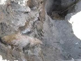 在中国使馆废墟中找到的未引爆炸弹 图源：人民日报