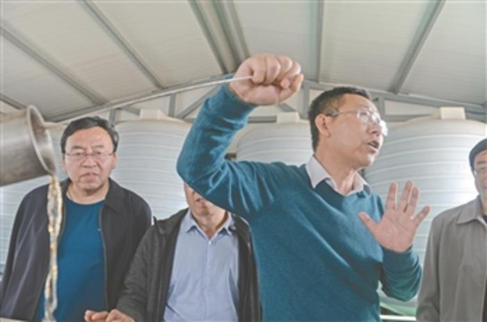 【壮丽70年·奋斗新时代】大漠桃花始盛开_手机新浪网
