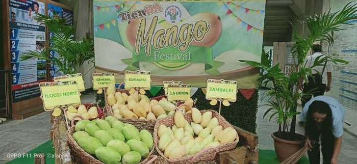  芒果节