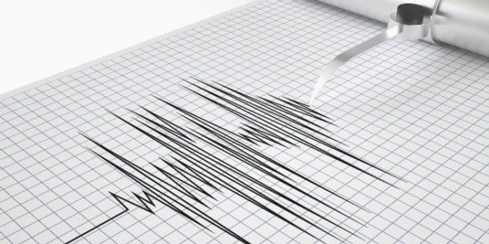 地震警报声外的民办、公办之问
