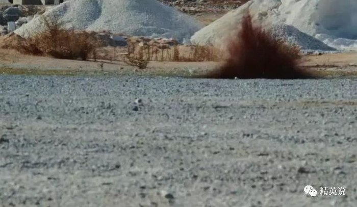  图片来源于纪录片《恐怖分子的孩子》