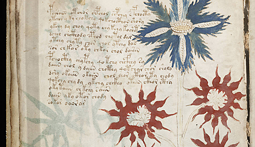 《伏尼契手稿》的其中一页（美国变革网站）