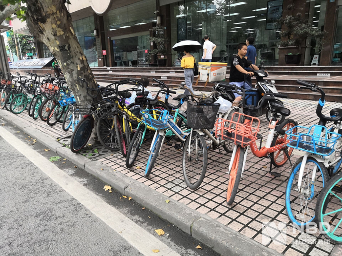  成都街头小黄车数量稀少 每经记者 靳水平摄