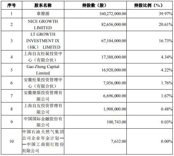 前十大股东持股情况