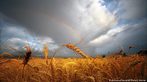 汉语源头可以追溯到7200年前的中国北方？（美联社）