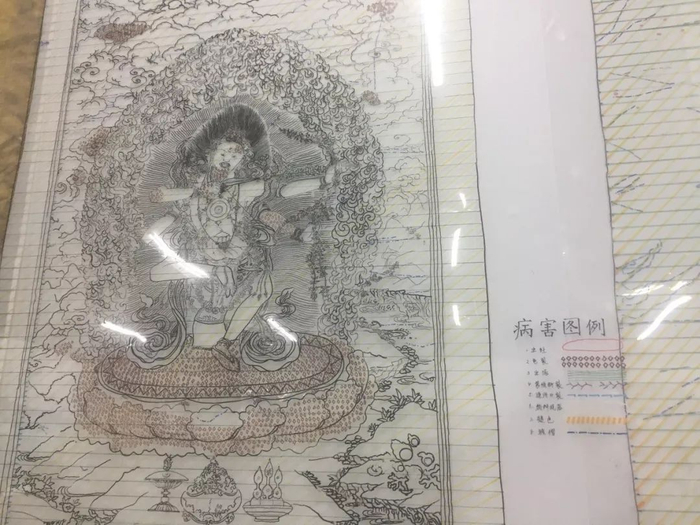 ●&nbsp;故宫文物医院“病害示意图”，摄影：麦伦