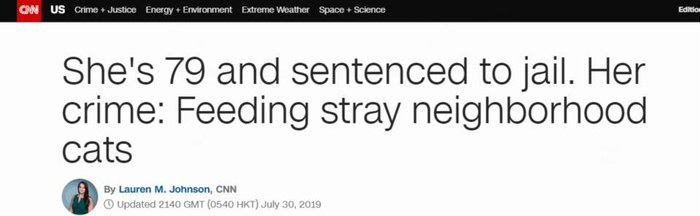 CNN报道截图