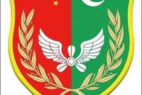 中巴空军在中国境内举行联合训练 不针对第三方