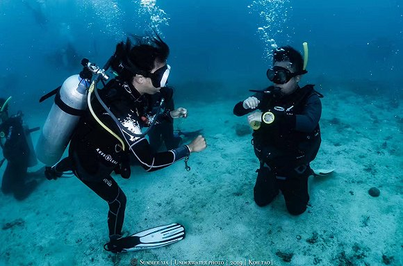 潜水教学（图片提供：二月）