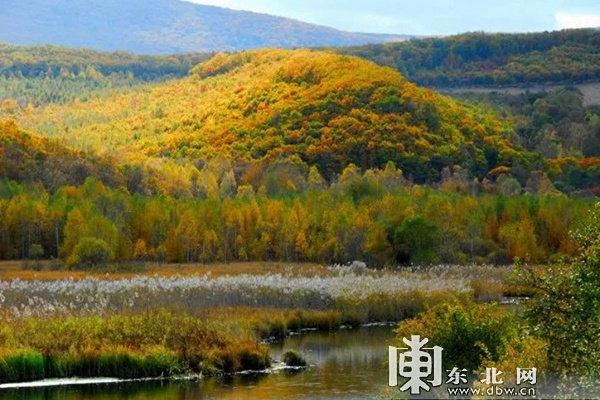 3.牡丹江紫菱湖湿地
