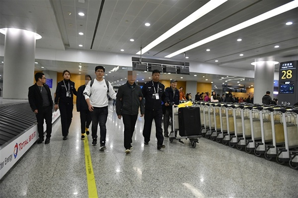  12月2日，彭某、何某被押解回沪。