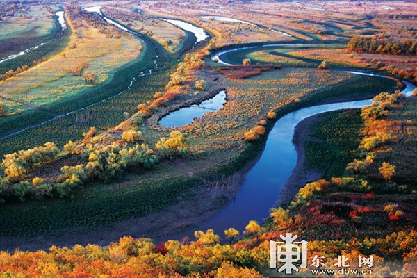 5.佳木斯三江平原湿地