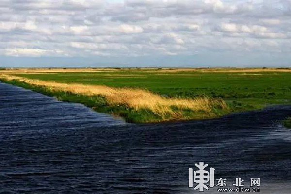 12.双鸭山挠力河国家级自然保护区