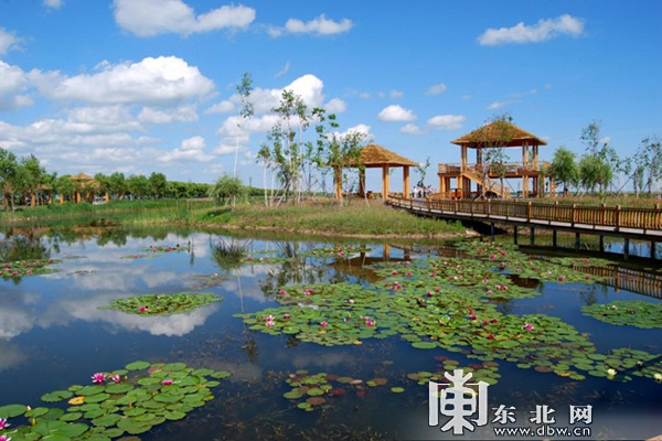4.佳木斯富锦国家湿地公园