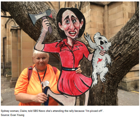  新州州长化身考拉杀手。来源：Evan Young