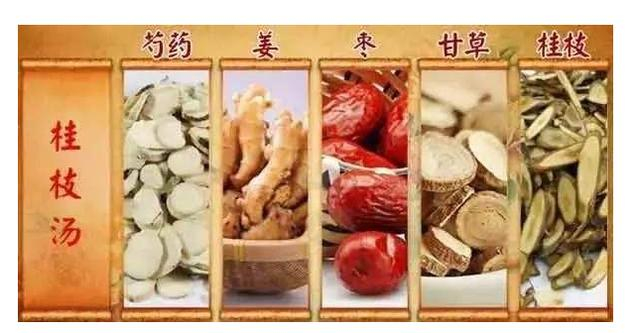 听名师讲伤寒论：桂枝汤之使用禁忌
