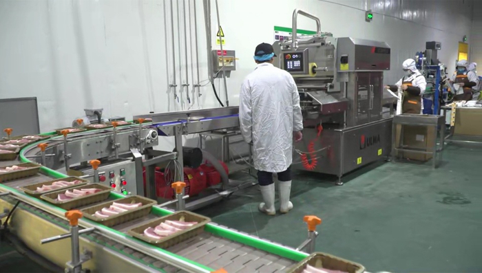  肉品即将进行气调包装。 青莲食品供图