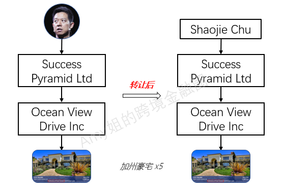 △图：根据破产文件，购入房产的Ocean View Drive Inc的顶层控股公司，是贾跃亭在2007年成立的Success Pyramid Ltd。