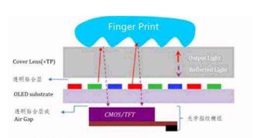 数据来源：Sigmaintell