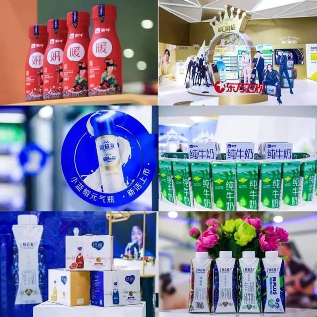 新疆土地管理政策 执行细则与补偿标准解析