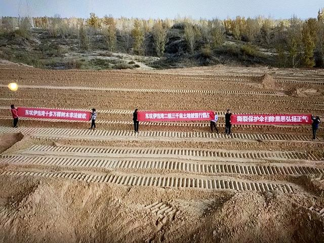 伊当湾村二组村民联名举报，要求严惩破坏林草地行为。伊当湾村村民供图