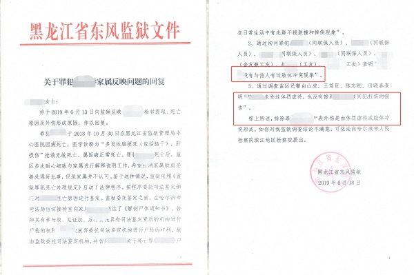 “关于罪犯陈浩家属反映问题的回复”中显示，排除陈浩尸表外伤是由体罚虐待或肢体冲突形成。