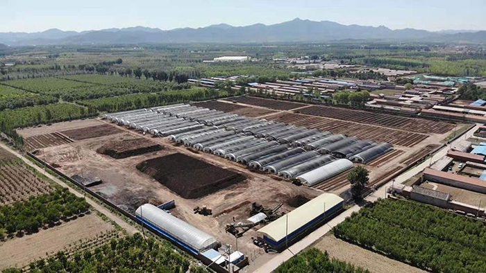  北京大地聚龙合作社的44栋春秋棚里，蚯蚓在养殖床里冬眠。受访者供图