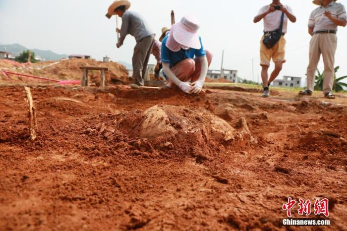 资料图：考古人员进行发掘工作。中新社发 吴寿生 摄