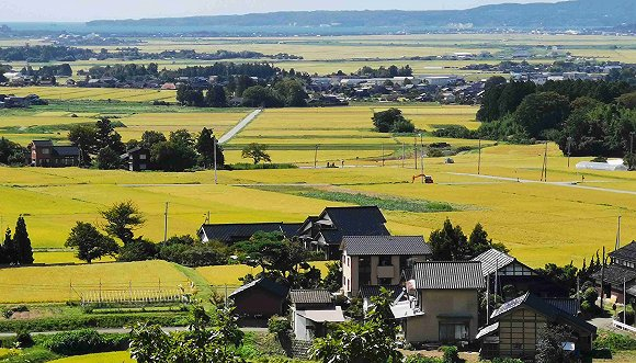  日本佐渡岛风光 拍摄：田思奇