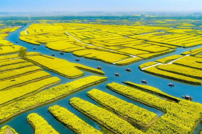 江苏生态农业：绿色发展的美丽画卷