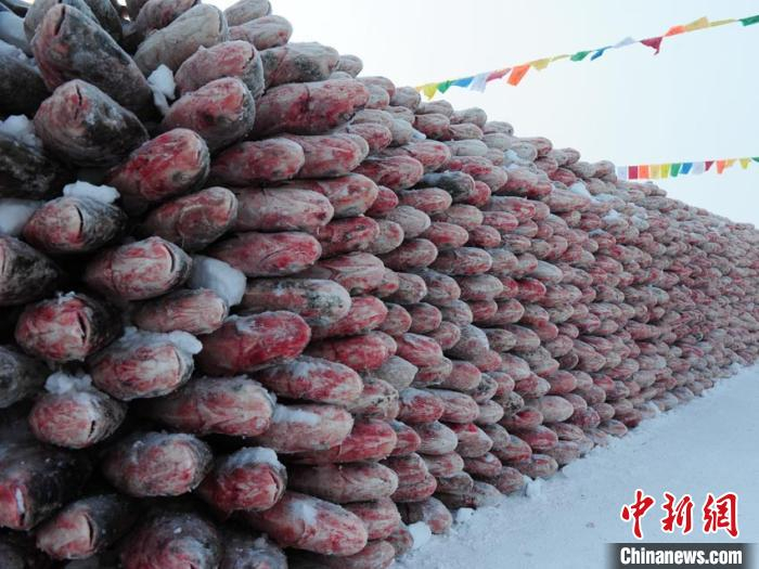 冬捕出来的大鱼组成的鱼塔 刘栋 摄