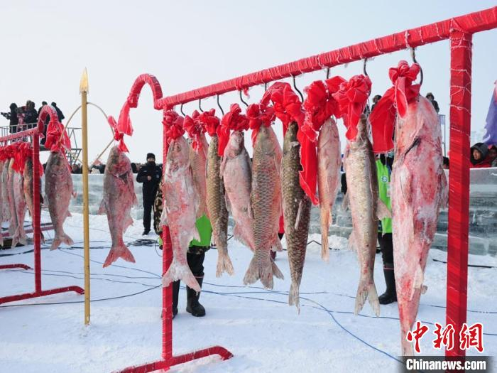 现场展示查干湖冬捕的大鱼 刘栋 摄
