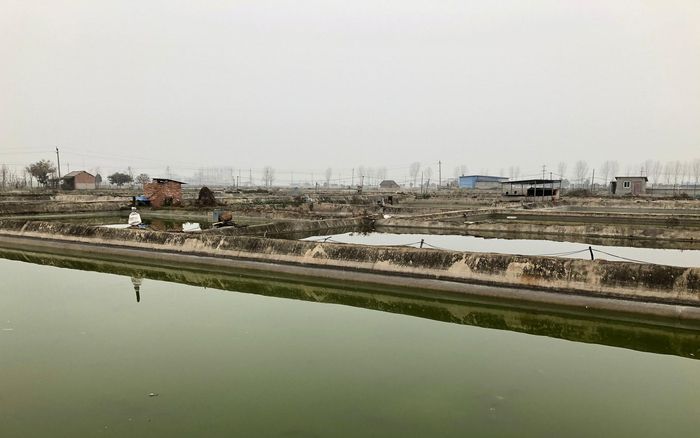 鱼塘在向寨村中随处可见。摄