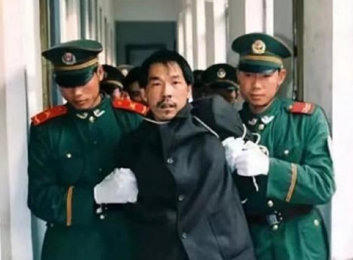  1999年7月，安徽警方将法子英抓捕归案。