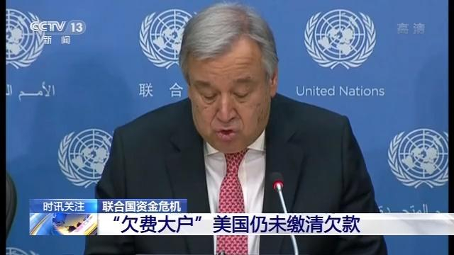  央视视频截图