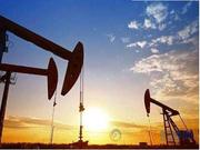 OPEC十年最大减产之一?沙特承诺超配额减产40万桶/日