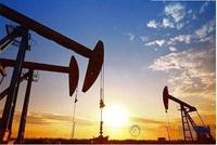 OPEC十年最大减产之一?沙特承诺超配额减产40万桶/日