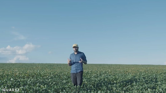  ▲节目记者在巴西一片农田中（视频截图）