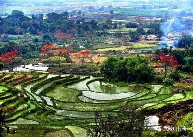 ▲昌江七叉镇宝山村