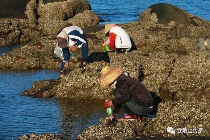 ▲昌江棋子湾赶海