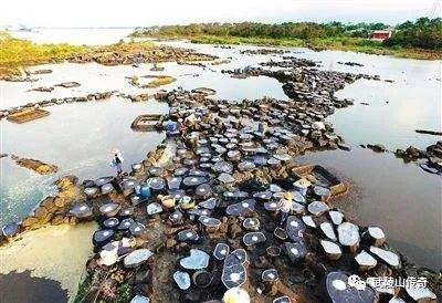 ▲儋州白马井古盐田