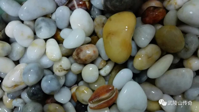 ▲昌江棋子湾晶莹剔透的棋子