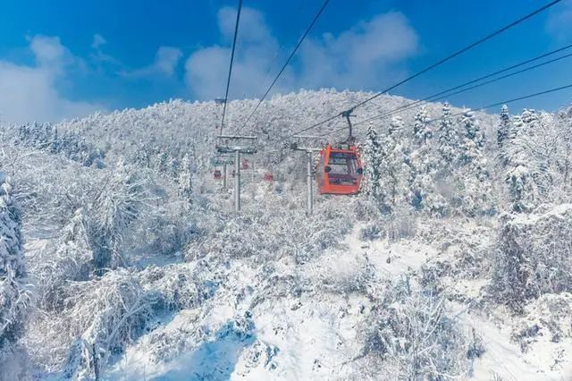 ▲ 图片示意：西岭雪山景区冬季的雾淞