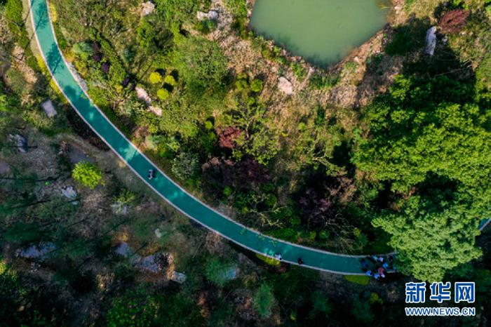 经过生态修复后景色迷人的缙云山黛湖（5月18日摄　无人机照片）  新华社记者 刘潺摄