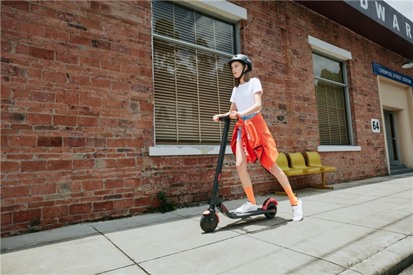 (九号电动滑板车ES1L)