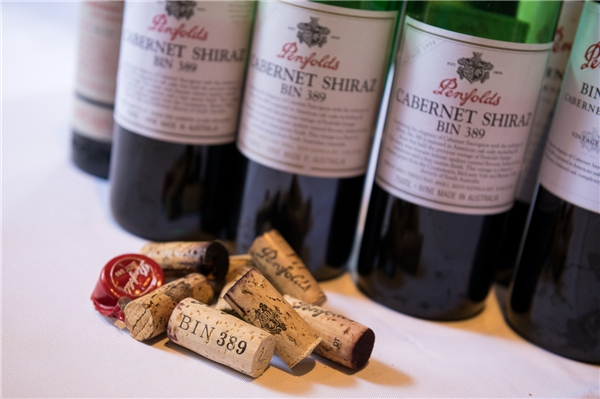 Penfolds奔富Bin 389