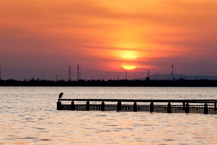  ▲ 太湖苏州湾。摄影/陆文龙