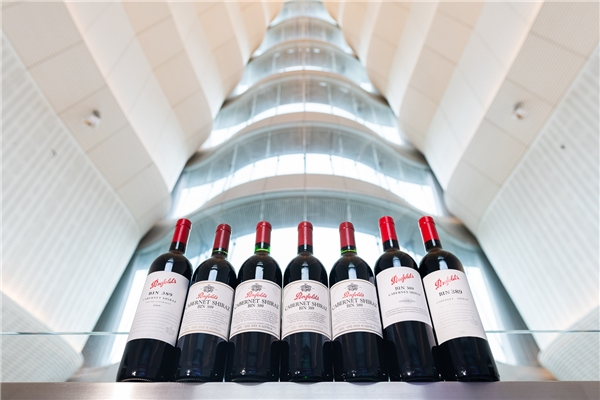 Penfolds奔富Bin 389